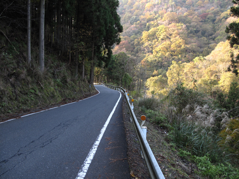 20131124hike (461)